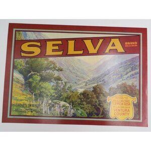 Selva Brand Lemon Crate Label Fillmore Lemon California Vintage Style Art JHE308